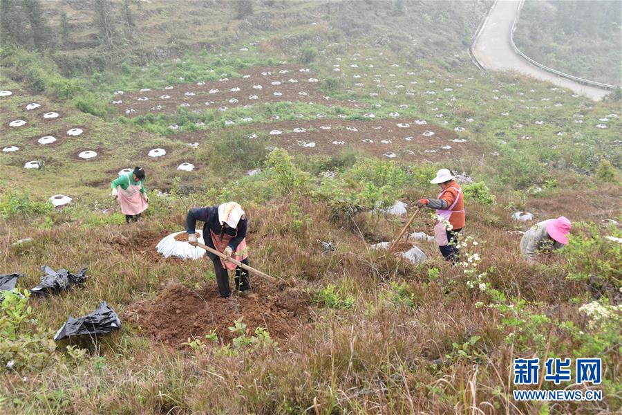 （決戰(zhàn)決勝脫貧攻堅(jiān)&middot;圖文互動(dòng)）（2）因地制宜的&ldquo;魅力&rdquo;&mdash;&mdash;貴州脫貧攻堅(jiān)一線采訪隨筆