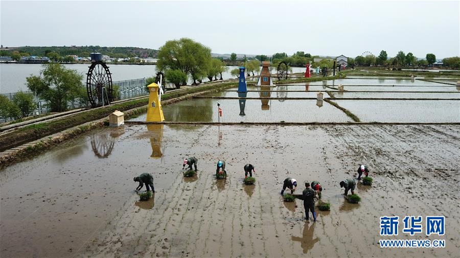 （在習近平新時代中國特色社會主義思想指引下&mdash;&mdash;新時代新作為新篇章&middot;習近平總書記關切事&middot;圖文互動）（6）讓農民挑上&ldquo;金扁擔&rdquo;&mdash;&mdash;農業(yè)現代化的生動實踐掃描