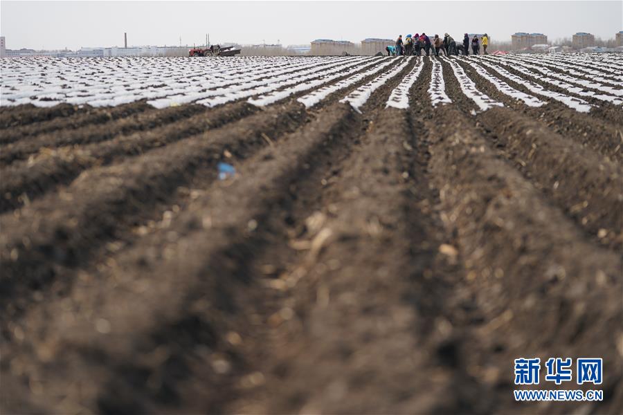 （在習(xí)近平新時代中國特色社會主義思想指引下&mdash;&mdash;新時代新作為新篇章&middot;習(xí)近平總書記關(guān)切事&middot;圖文互動）（3）讓每一寸耕地都成為豐收的沃土&mdash;&mdash;我國加強耕地保護推進&ldquo;藏糧于地&rdquo;