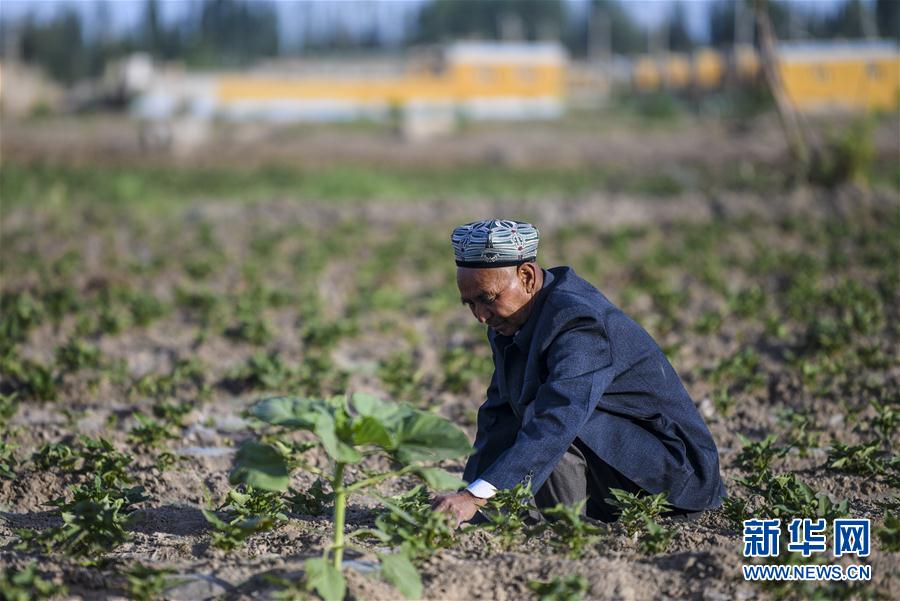 （圖文互動(dòng)）（5）&ldquo;沙漠高地&rdquo;的美好家園