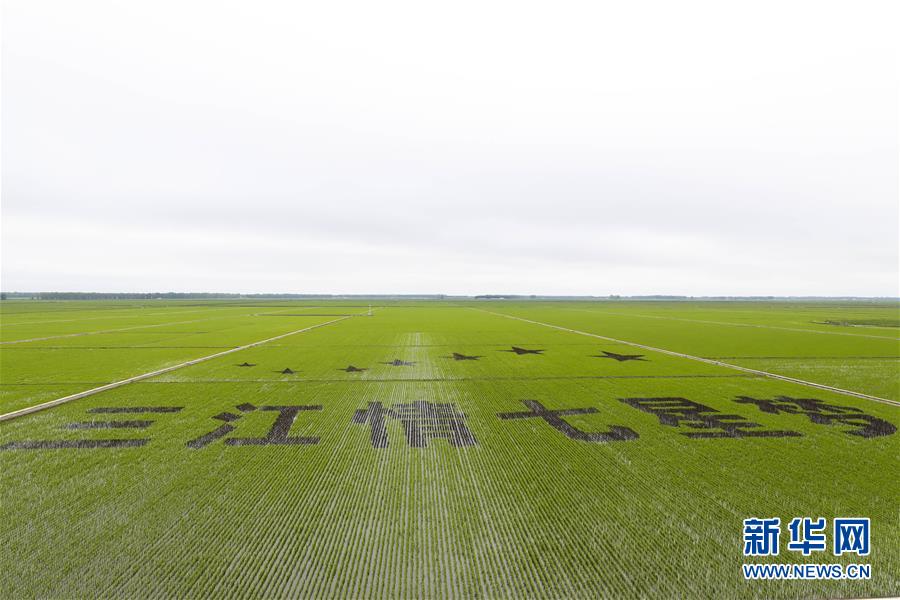 （走向我們的小康生活&middot;圖文互動）（2）端牢&ldquo;中國飯碗&rdquo; 播種綠色小康