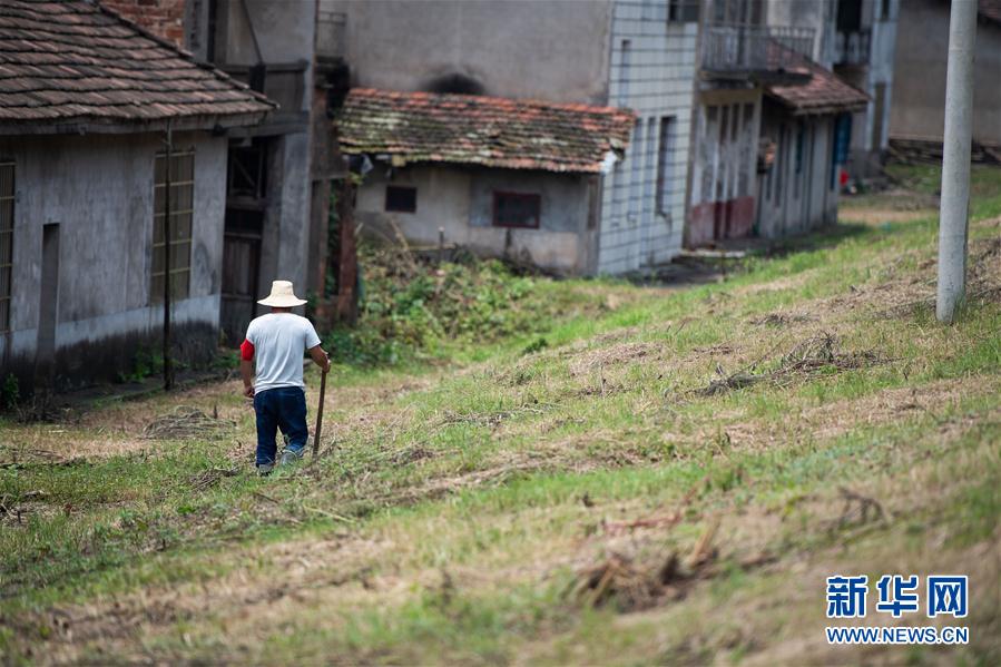 （防汛抗洪&middot;圖文互動）（3）鏖戰(zhàn)南洞庭