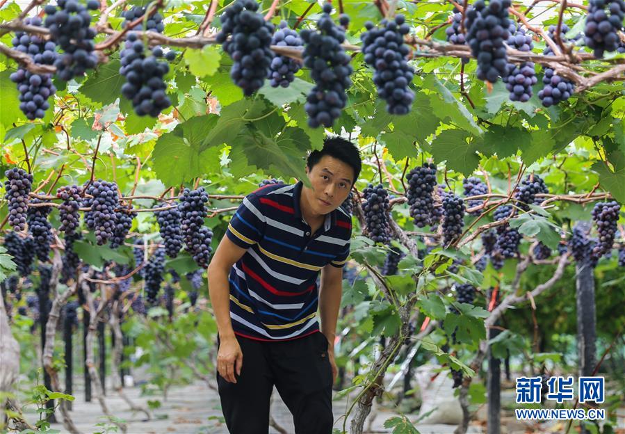 （新華全媒頭條&middot;走向我們的小康生活&middot;圖文互動）（9）奮斗繪就&ldquo;新天府&rdquo;&mdash;&mdash;川蜀大地干群&ldquo;戰(zhàn)貧&rdquo;軌跡掃描