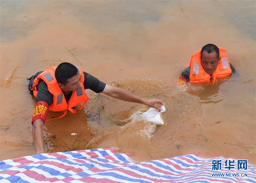 （防汛抗洪&middot;圖文互動(dòng)）（2）抗洪長堤上的&ldquo;三件寶&rdquo;