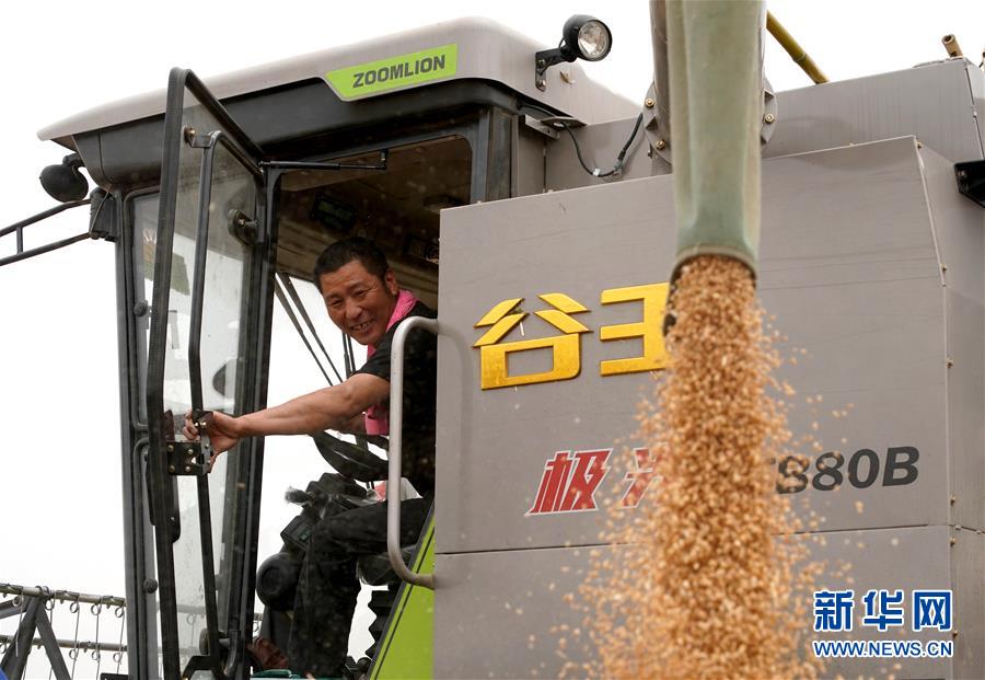 (在習近平新時代中國特色社會主義思想指引下——新時代新作為新篇章·習近平總書記關切事·圖文互動)(3)食為政首——穩(wěn)住農(nóng)業(yè)基本盤增添發(fā)展底氣