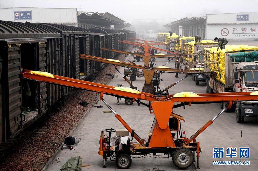 (在習近平新時代中國特色社會主義思想指引下——新時代新作為新篇章·習近平總書記關切事·圖文互動)(5)食為政首——穩(wěn)住農(nóng)業(yè)基本盤增添發(fā)展底氣