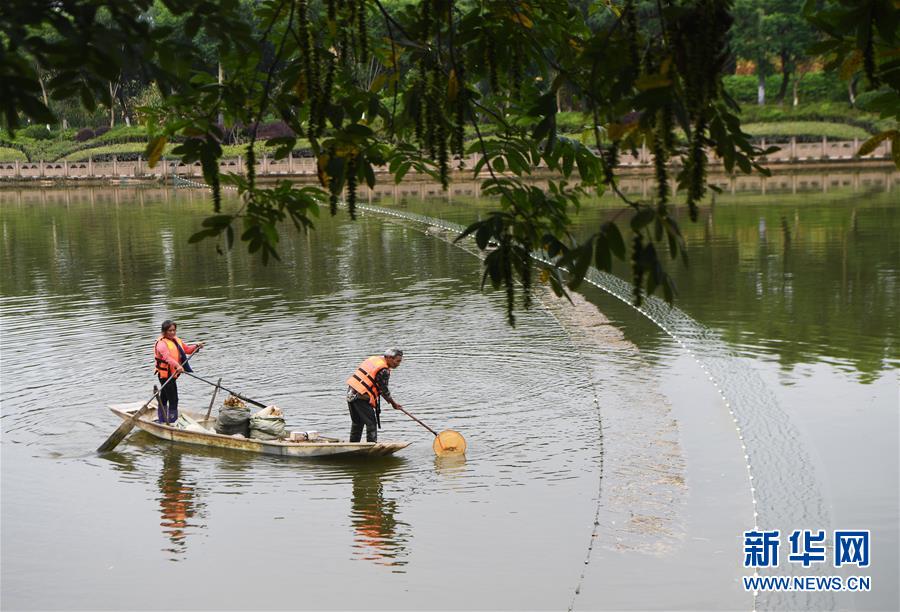 （長江經(jīng)濟(jì)帶&middot;圖文互動）（3）李代國再下河