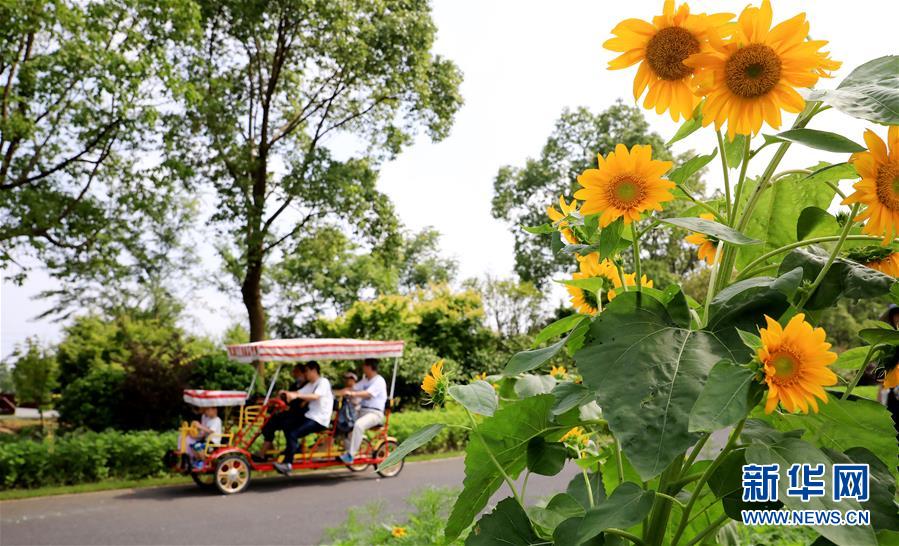 （新華全媒頭條&middot;走向我們的小康生活&middot;圖文互動(dòng)）（13）城市，讓人民生活更美好