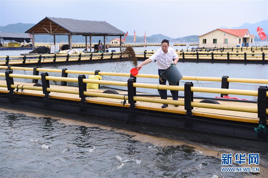 （新華全媒頭條&middot;走向我們的小康生活&middot;圖文互動(dòng)）（9）弱鳥先飛今翱翔&mdash;&mdash;閩東寧德振興啟示錄