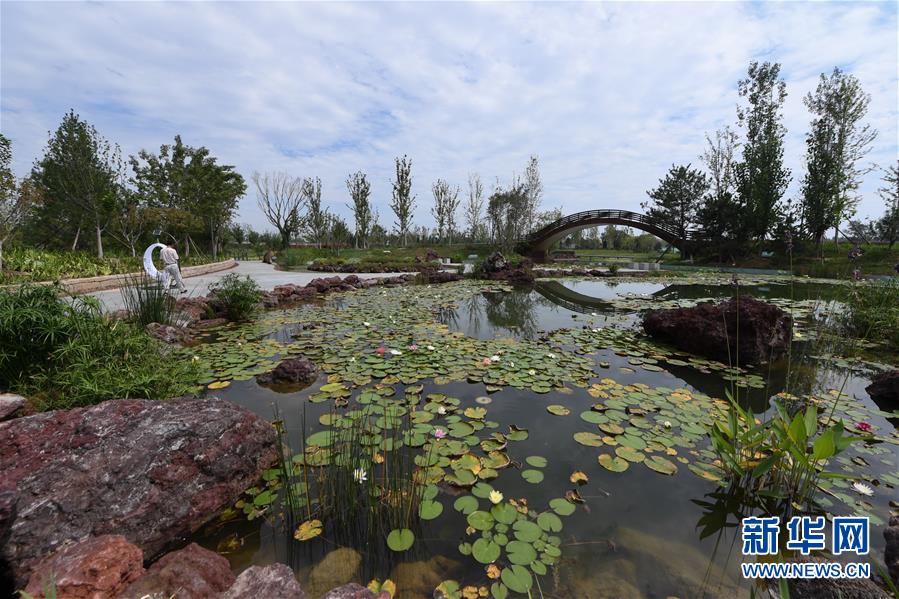 （新華全媒頭條&middot;走向我們的小康生活&middot;圖文互動(dòng)）（1）&ldquo;繡&rdquo;出古都新生活&mdash;&mdash;城市精細(xì)化治理的北京探索