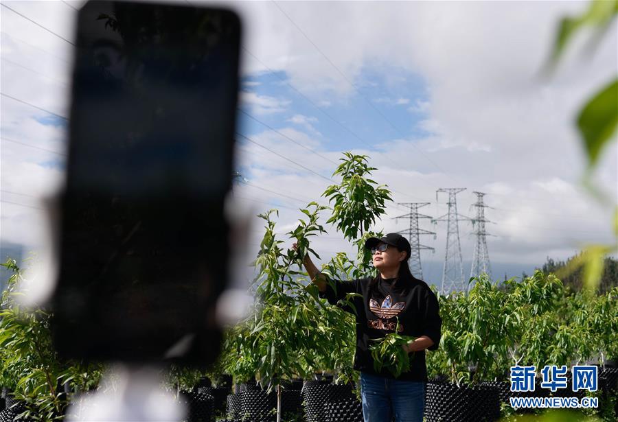 （決戰(zhàn)決勝脫貧攻堅&middot;督戰(zhàn)未摘帽貧困縣&middot;圖文互動）（4）12000多個&ldquo;火種&rdquo;點亮大涼山