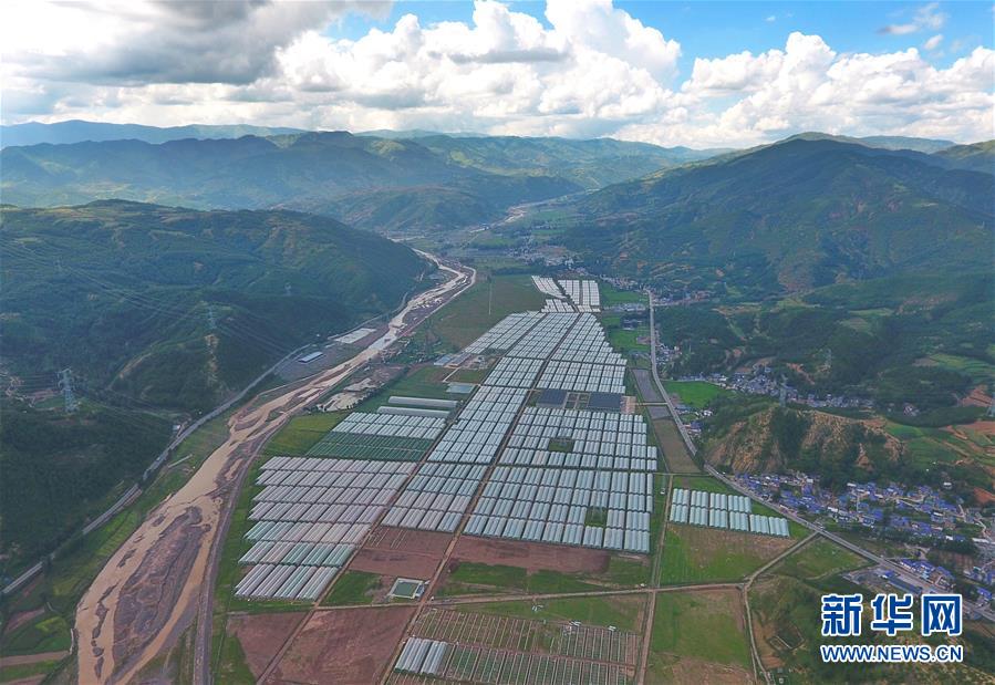 （新華全媒頭條&middot;決戰(zhàn)決勝脫貧攻堅(jiān)&middot;督戰(zhàn)未摘帽貧困縣&middot;圖文互動(dòng)）（10）苦蕎花開(kāi)大涼山&mdash;&mdash;四川7個(gè)未摘帽縣脫貧攻堅(jiān)一線觀察