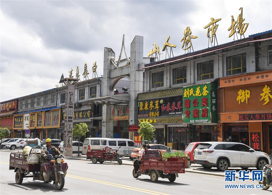 （走向我們的小康生活）（12）人參產業(yè)助民增收