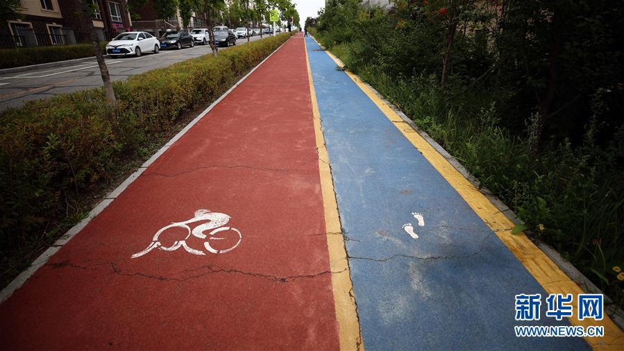 （圖文互動(dòng)）（9）長(zhǎng)白山60年書寫&ldquo;生態(tài)答卷&rdquo;