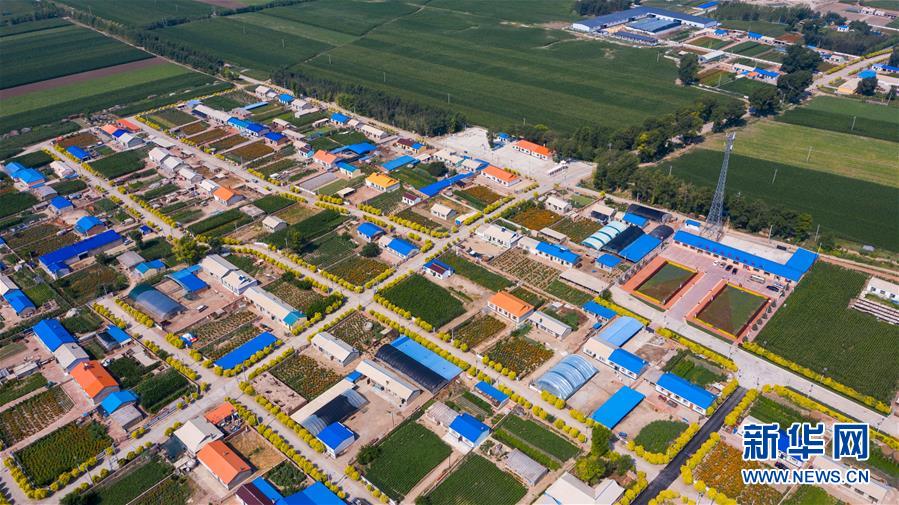 （新華全媒頭條&middot;走向我們的小康生活&middot;圖文互動）（1）黑土地上是我家&mdash;&mdash;在吉林，一瞥中國東北鄉(xiāng)村美麗未來