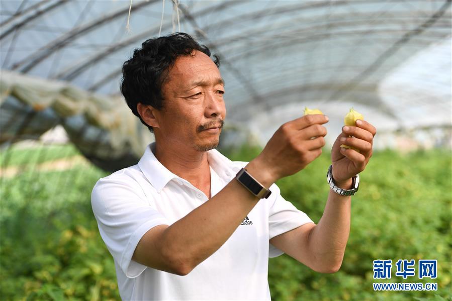 （新華全媒頭條&middot;走向我們的小康生活&middot;圖文互動）（7）黑土地上是我家&mdash;&mdash;在吉林，一瞥中國東北鄉(xiāng)村美麗未來