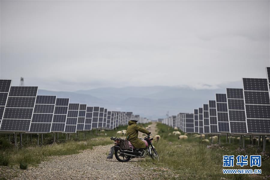 （新華全媒頭條&middot;走向我們的小康生活&middot;決戰(zhàn)決勝脫貧攻堅&middot;圖文互動）（4）高原上綻放的光芒&mdash;&mdash;來自青海攻克深度貧困堡壘的故事