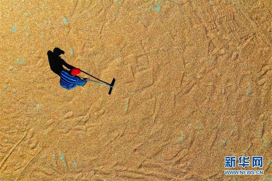 （新華全媒頭條&middot;圖文互動(dòng)）（6）天道酬勤的大地贊歌&mdash;&mdash;寫在第三個(gè)中國(guó)農(nóng)民豐收節(jié)之際