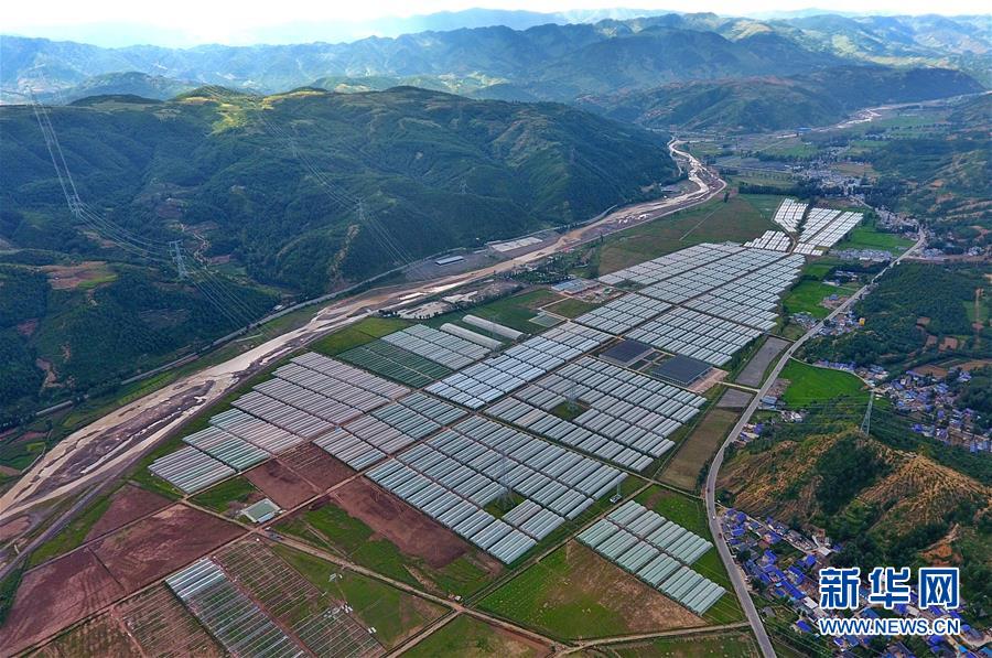 （走向我們的小康生活&middot;決戰(zhàn)決勝脫貧攻堅&middot;圖文互動）（2）把產(chǎn)業(yè)興盛之&ldquo;根&rdquo;扎進(jìn)大涼山