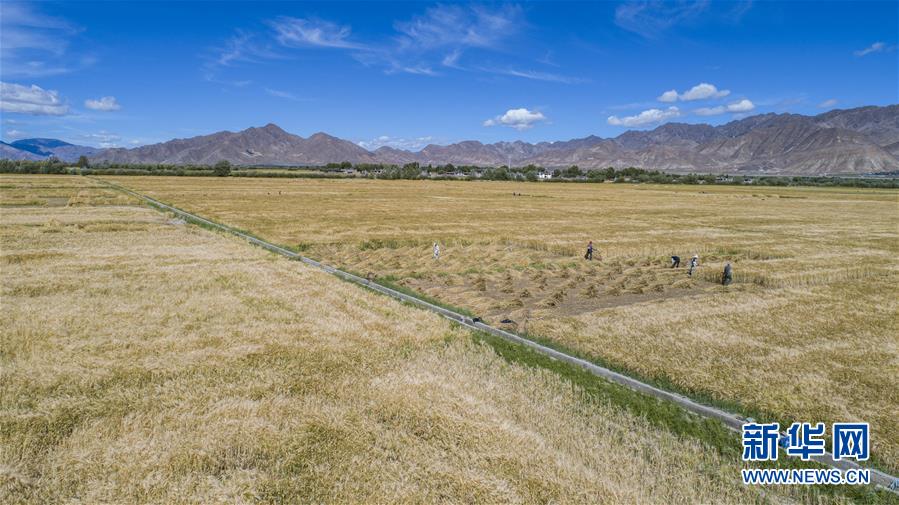 （新華全媒頭條&middot;走向我們的小康生活&middot;圖文互動(dòng)）（11）扎西德勒，我們的新家園&mdash;&mdash;西藏易地扶貧搬遷搬出幸福美好新生活