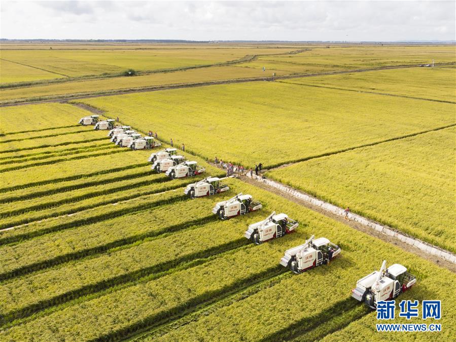 （新華全媒頭條&middot;圖文互動）（15）奮斗結(jié)碩果，再寫新篇章&mdash;&mdash;寫在共和國71周年華誕之際