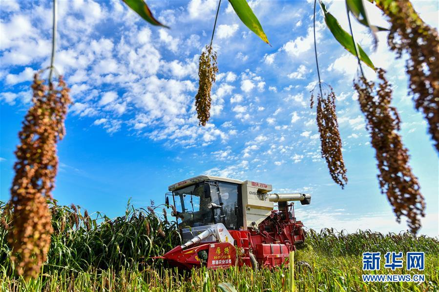 （新華全媒頭條&middot;圖文互動）（17）奮斗結(jié)碩果，再寫新篇章&mdash;&mdash;寫在共和國71周年華誕之際