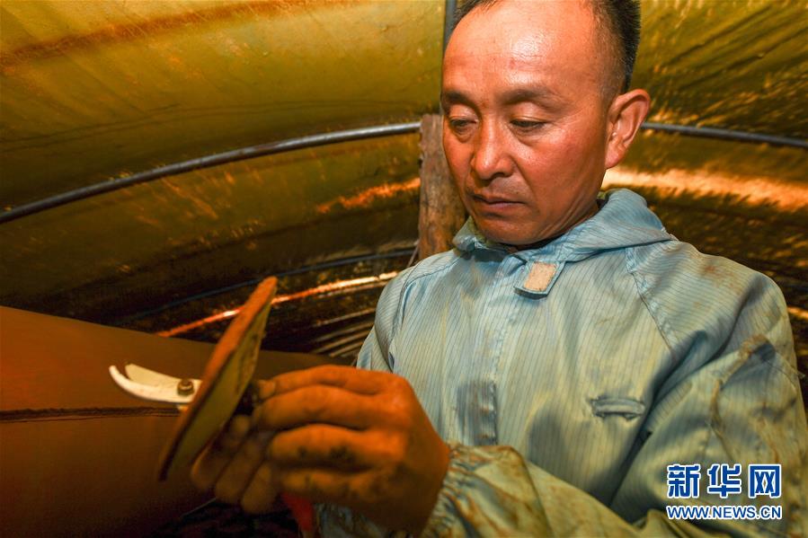 （決戰(zhàn)決勝脫貧攻堅(jiān)&middot;圖文互動(dòng)）（3）從&ldquo;因殘致貧&rdquo;到&ldquo;帶頭脫貧&rdquo;&mdash;&mdash;吉林靖宇有這樣一位&ldquo;脫貧英雄&rdquo;