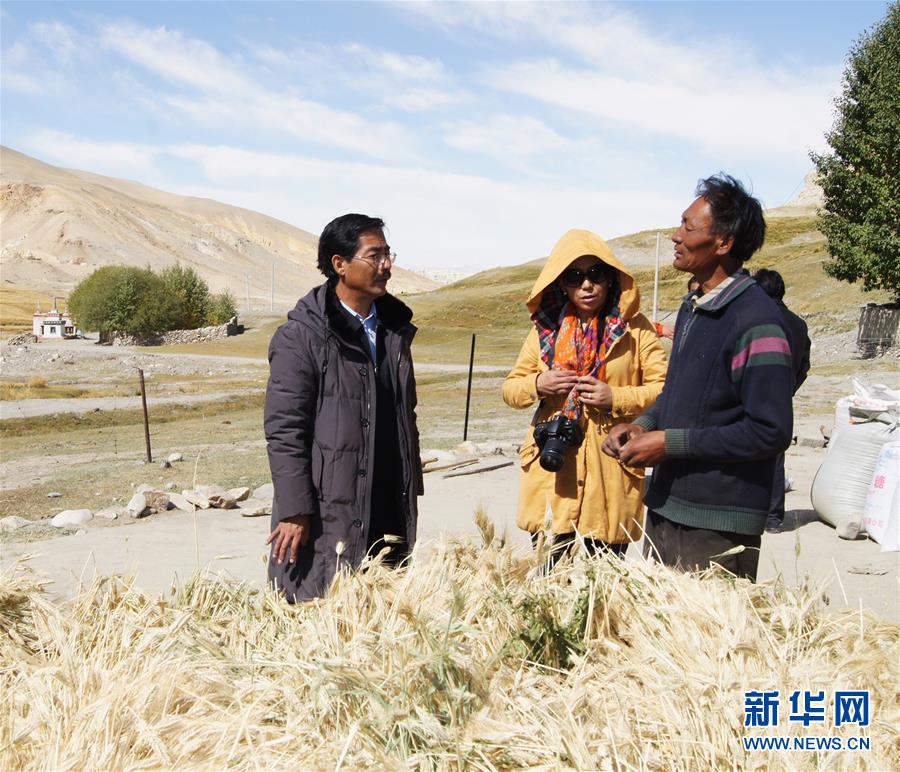 （新華全媒頭條&middot;圖文互動）（6）愿做高原一粒種 化作金穗撒人間&mdash;&mdash;追記我國青稞研究專家尼瑪扎西