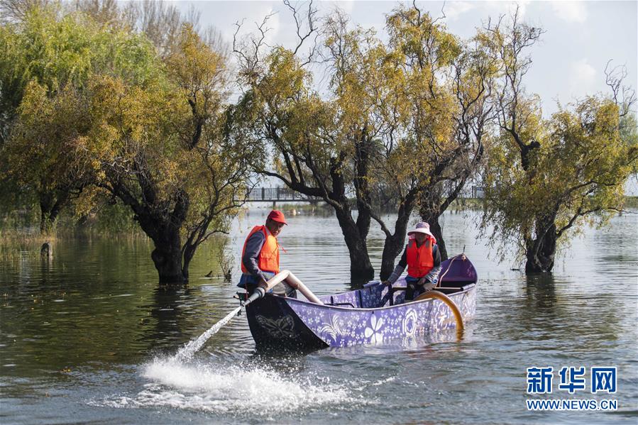 （新華全媒頭條&middot;五中全會(huì)精神在基層&middot;圖文互動(dòng)）（9）奮發(fā)新青年　逐夢新征程&mdash;&mdash;各地青年學(xué)習(xí)貫徹落實(shí)五中全會(huì)精神觀察