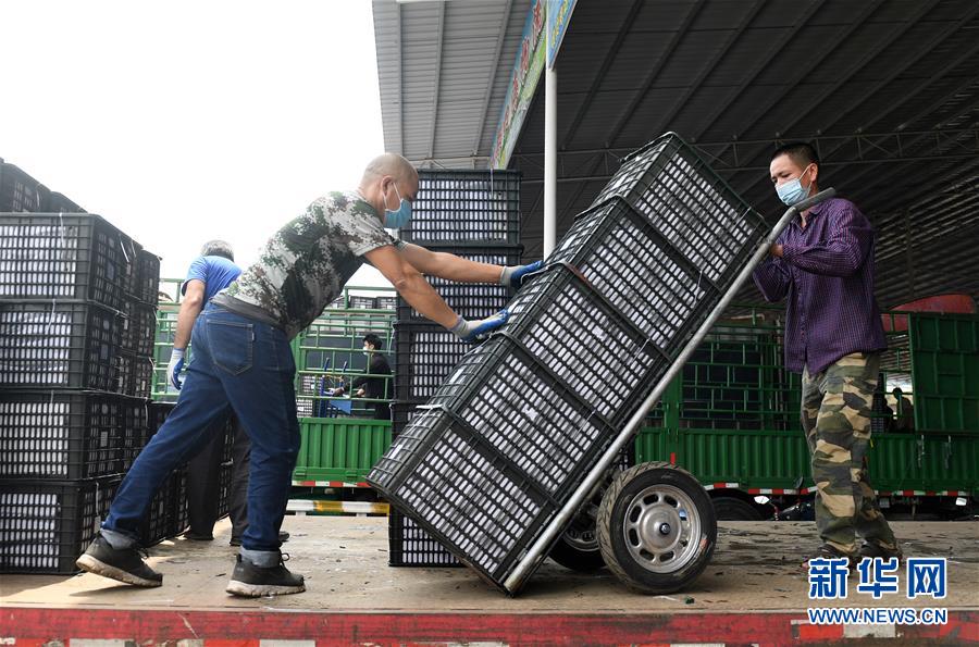 （新華全媒頭條&middot;圖文互動(dòng)）（10）暢通雙循環(huán) 共享大市場(chǎng)&mdash;&mdash;從東博會(huì)看中國新發(fā)展格局