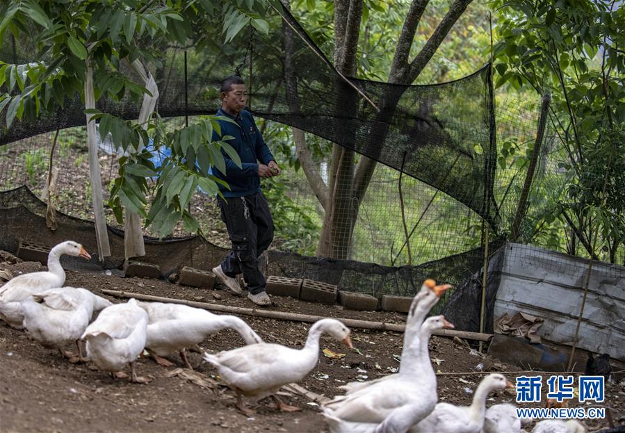 （新華全媒頭條&middot;兩會(huì)精神看落實(shí)&middot;圖文互動(dòng)）（8）培育新機(jī) 開辟新局&mdash;&mdash;落實(shí)全國(guó)兩會(huì)精神激發(fā)經(jīng)濟(jì)發(fā)展新動(dòng)能述評(píng)