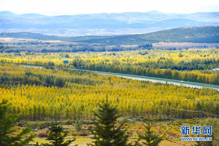 （在習(xí)近平新時代中國特色社會主義思想指引下&mdash;&mdash;新時代新作為新篇章&middot;習(xí)近平總書記關(guān)切事&middot;圖文互動）（7）綠意，在黃沙中鋪展&mdash;&mdash;我國防沙治沙紀(jì)實(shí)