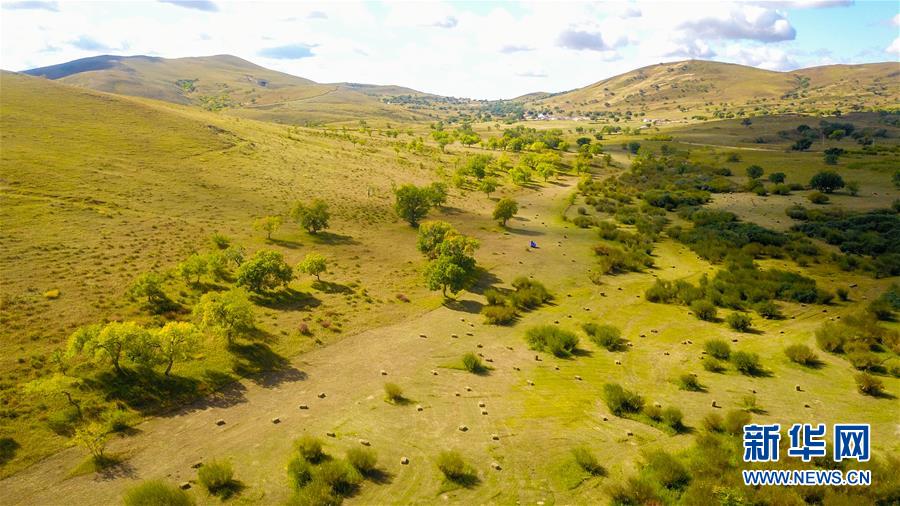 （在習(xí)近平新時代中國特色社會主義思想指引下&mdash;&mdash;新時代新作為新篇章&middot;習(xí)近平總書記關(guān)切事&middot;圖文互動）（4）綠意，在黃沙中鋪展&mdash;&mdash;我國防沙治沙紀(jì)實(shí)