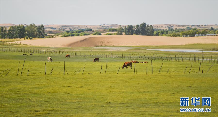 （在習(xí)近平新時代中國特色社會主義思想指引下&mdash;&mdash;新時代新作為新篇章&middot;習(xí)近平總書記關(guān)切事&middot;圖文互動）（9）綠意，在黃沙中鋪展&mdash;&mdash;我國防沙治沙紀(jì)實(shí)