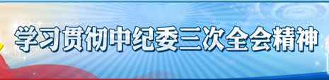 學(xué)習(xí)貫徹中紀(jì)委三次全會(huì)精神