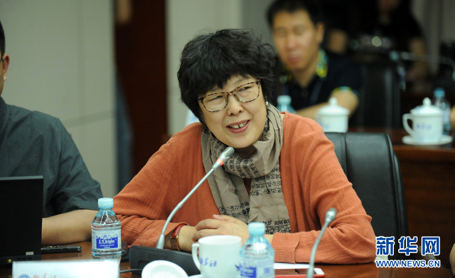 陳小波：新華人對(duì)歷史的擔(dān)當(dāng)、情感與良知