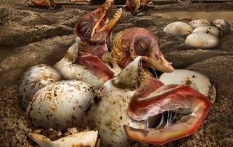 中國發(fā)現史前翼龍&ldquo;伊甸園&rdquo;