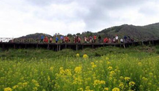 黑龍江游客走進新疆阿勒泰&ldquo;明星&rdquo;景區(qū)感受北疆風光