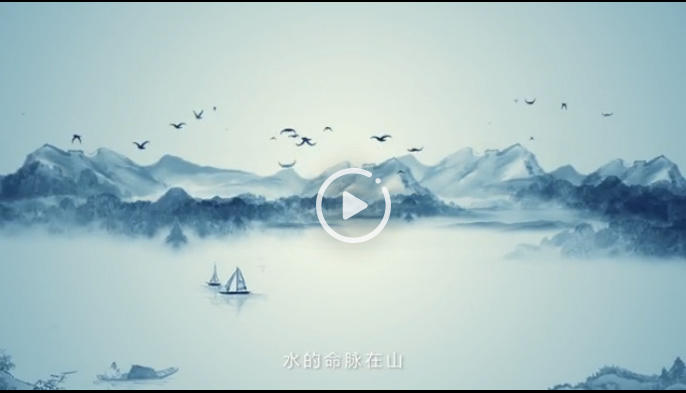 向陽花木易為春&mdash;&mdash;綠色發(fā)展之&ldquo;木&rdquo;的故事