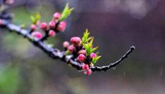 隨心而行，走走停停始終精彩。