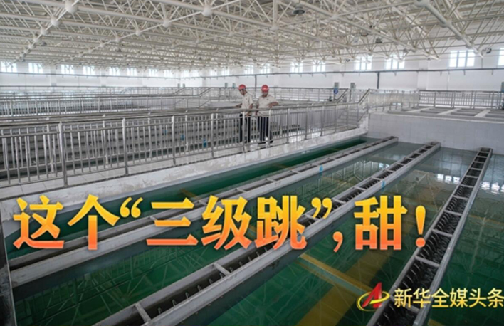 這個&ldquo;三級跳&rdquo;，甜！