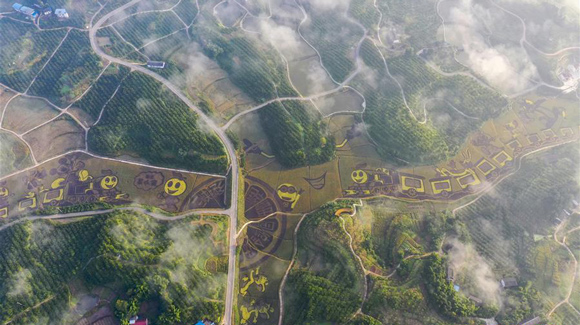 百城千縣萬村調(diào)研行｜在三峽橘鄉(xiāng)，遇見最美的田園時光！