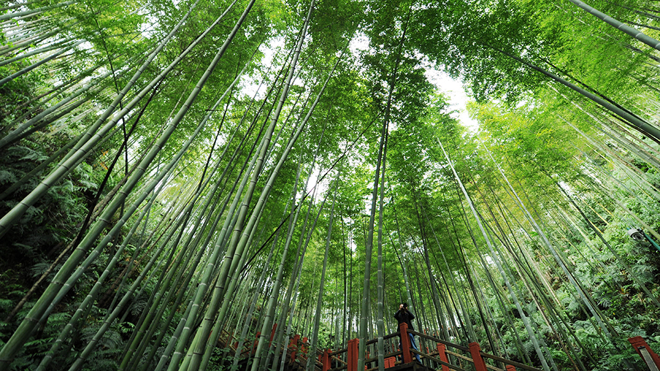 合作共治、責任共擔、效益共享&mdash;&mdash;赤水河流域跨省生態(tài)補償取得積極成效