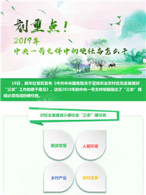 劃重點(diǎn)！2019年中央一號(hào)文件中的硬任務(wù)怎么干