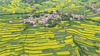 山鄉(xiāng)&ldquo;鑲金&rdquo; 田園如畫