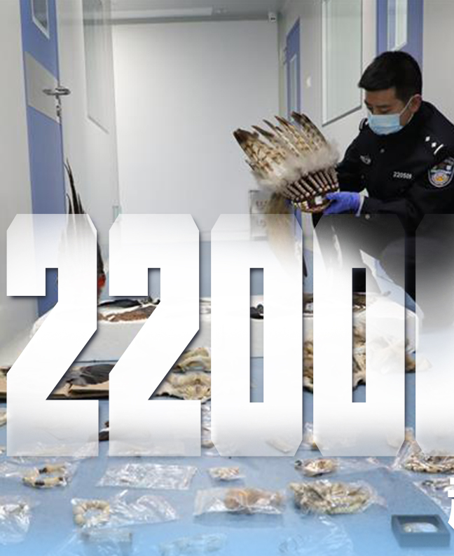 抗疫有&ldquo;法&rdquo;，就是這么給力！