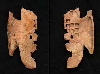 秦咸陽(yáng)城遺址發(fā)現(xiàn)罕見戰(zhàn)國(guó)晚期卜甲