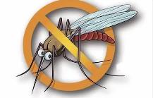夏季，常見(jiàn)蚊蟲(chóng)如何應(yīng)對(duì)