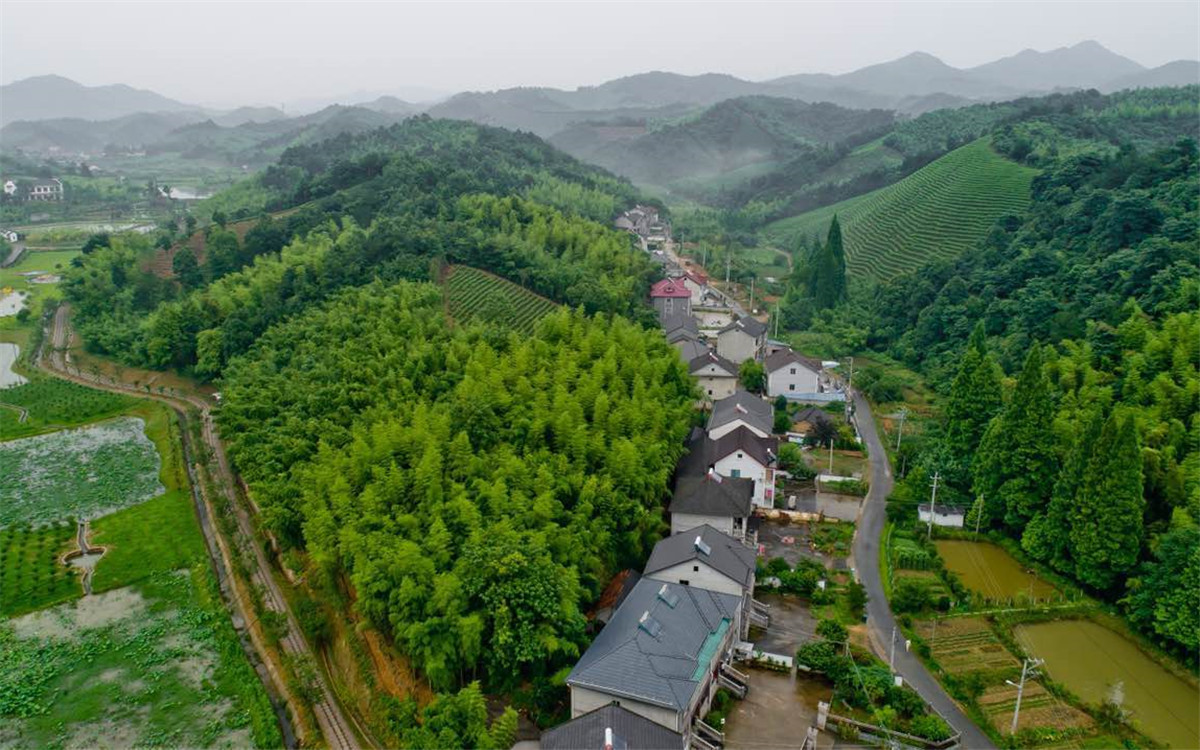 從2003年起，浙江省開展了&ldquo;千村示范、萬村整治&rdquo;工程