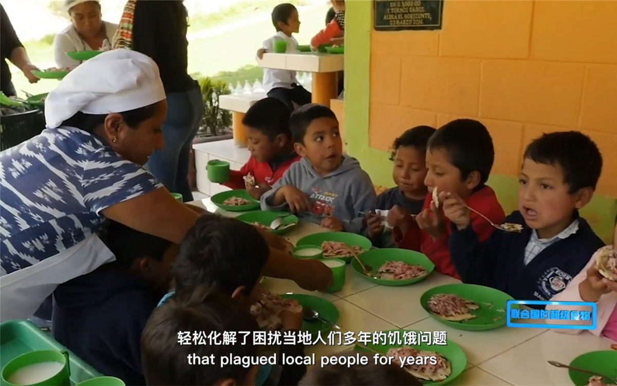 藜麥的蹤跡遍布北美、歐洲、亞洲和非洲多地